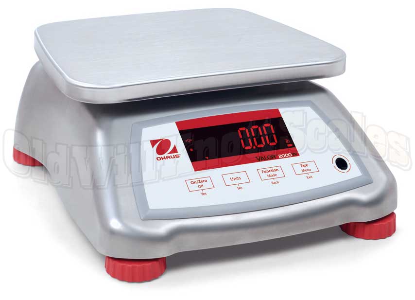 Food Scale, Water Resistant