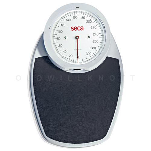 White and gray manual scale, Weighing scale Weight Kilogram